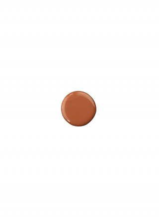Like a PRO! lak za nokte 169 PUMPKIN SPICE 