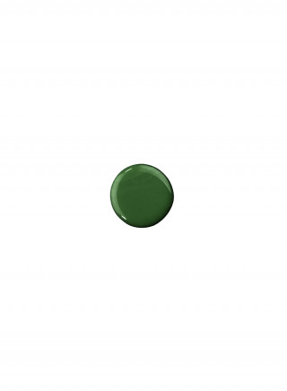 Like a PRO! lak za nokte 172 EMERALD 