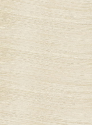 Set za trajno bojenje kose FOREVER BLONDE 11B Special light beige blonde 