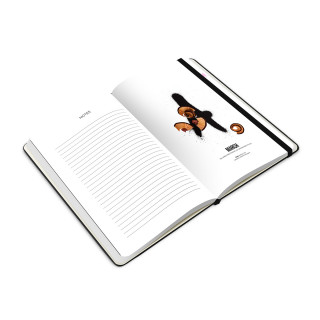 Aura Notebook 2018 