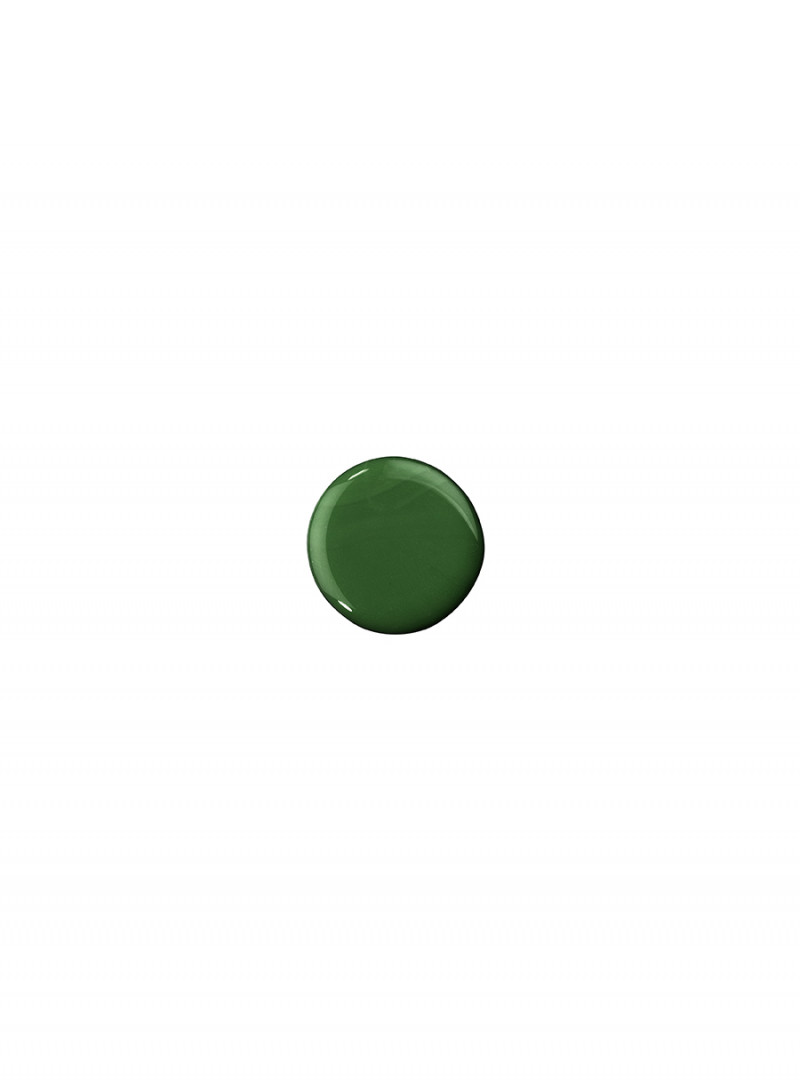 Like a PRO! lak za nokte 172 EMERALD 