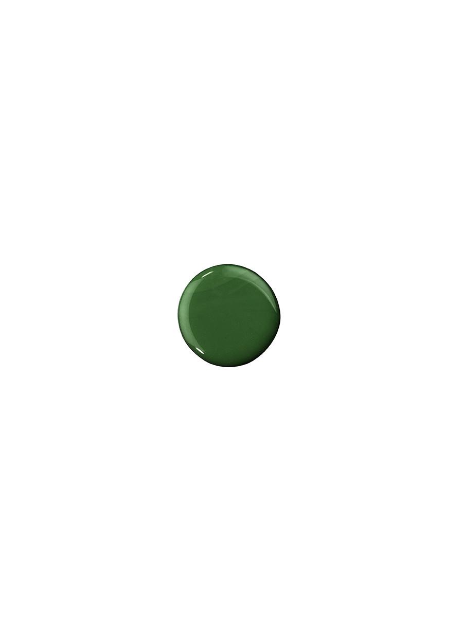 Like a PRO! lak za nokte 172 EMERALD 
